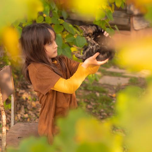 Photo #5139101