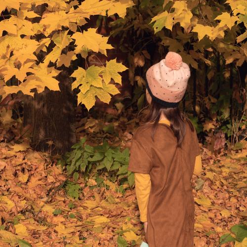 Photo #5139103