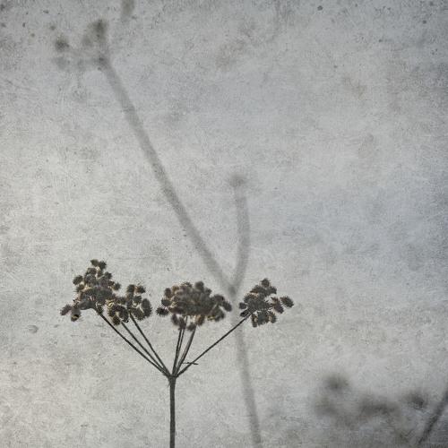 Photo #5139405