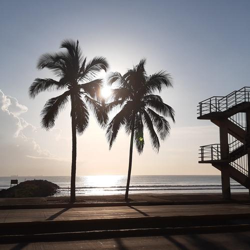 Photo #5139603