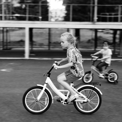 Photo #5139749