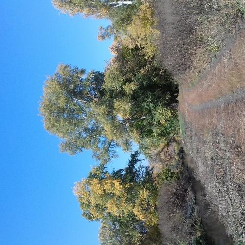 Photo #5139814