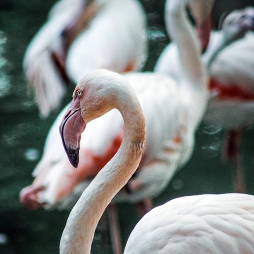 Photo #5139909