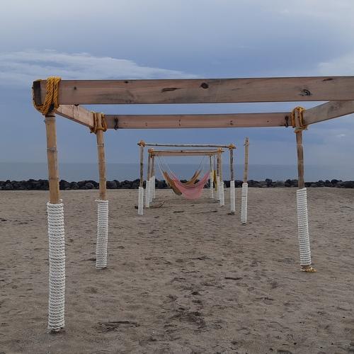 Photo #5139940