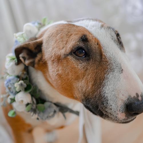 Photo #5140958
