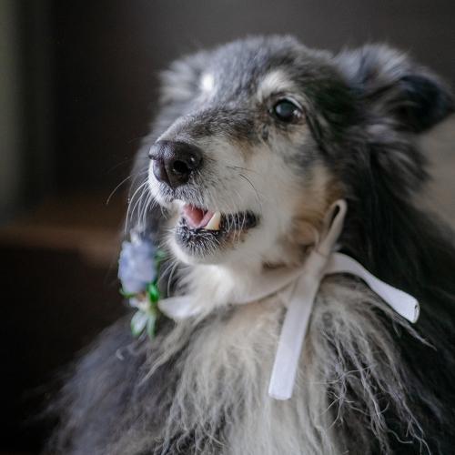 Photo #5140961