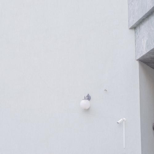 Photo #5141570
