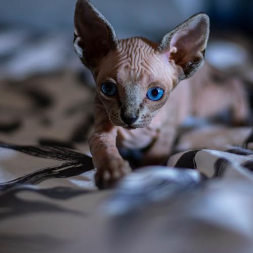 Photo #5142069