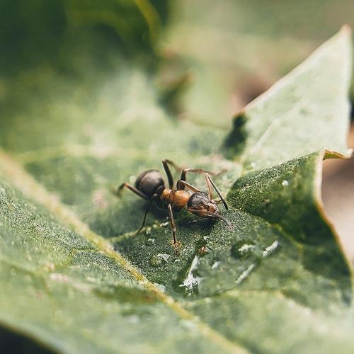 Photo #5142191