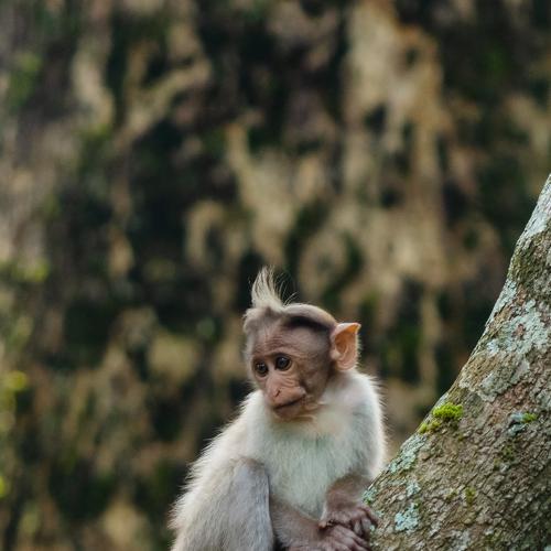 Photo #5142845