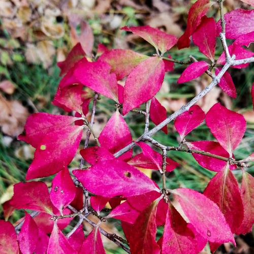 Photo #5143026