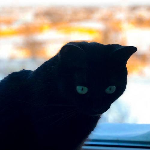 Photo #5143147