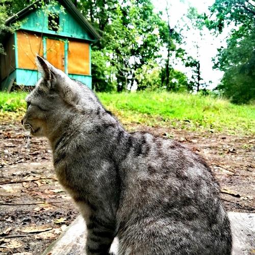 Photo #5143162