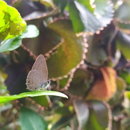 Photo #5143165
