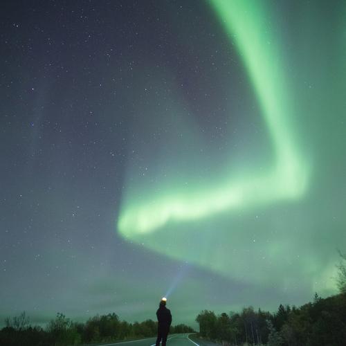 Photo #5143178