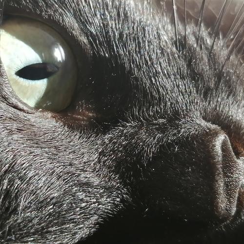 Photo #5143182