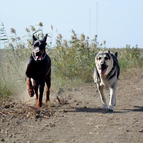 Photo #5143543