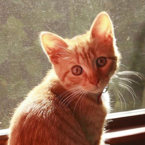 Photo #5143626