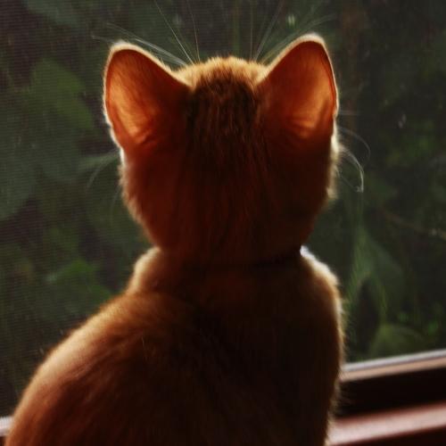 Photo #5143634
