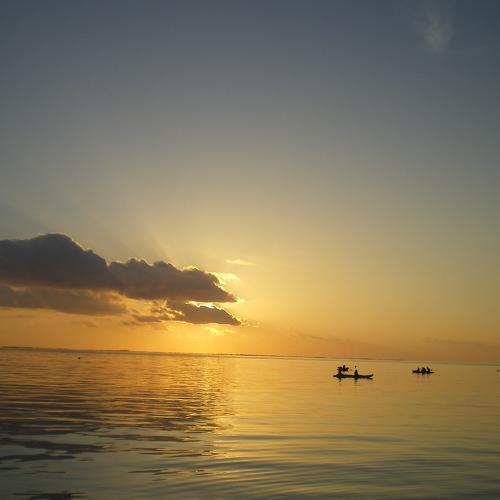 Photo #5143834