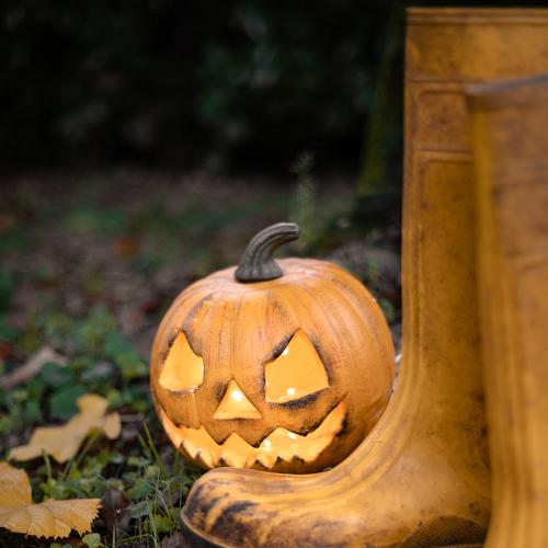 Photo #5143902