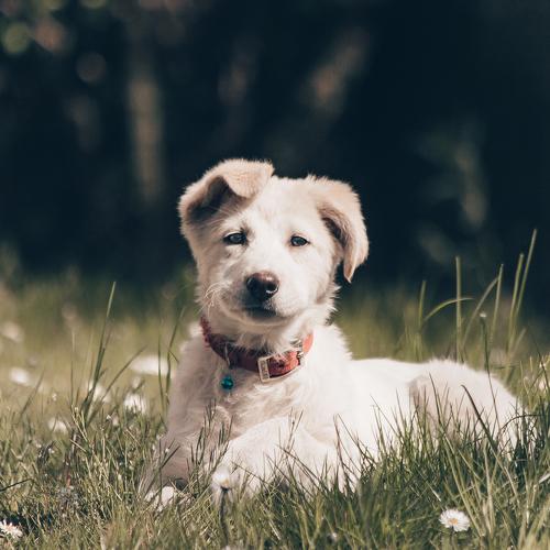Photo #5143944
