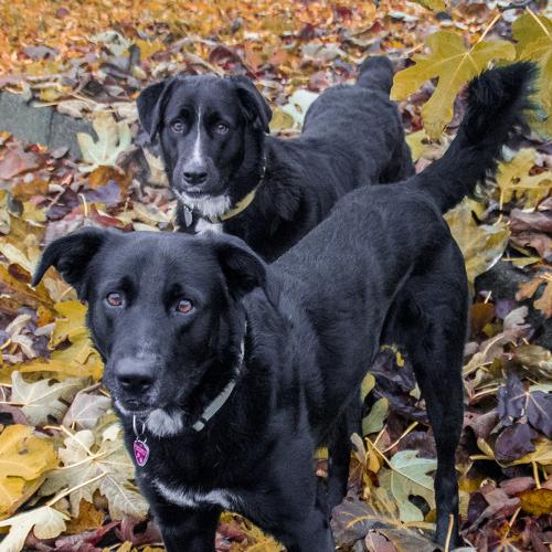 Photo #5143945