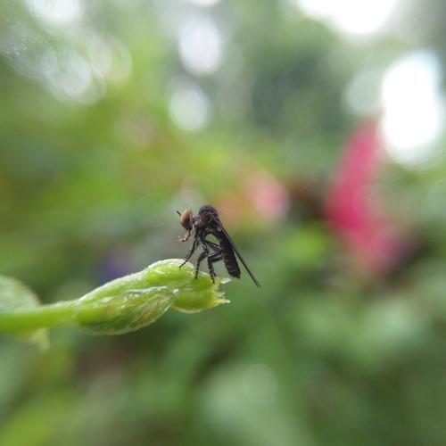 Photo #5144333