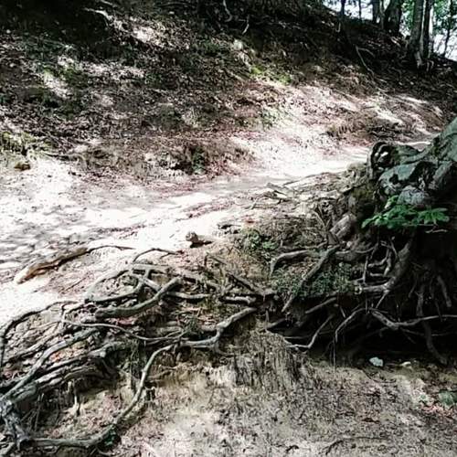 Photo #5144768
