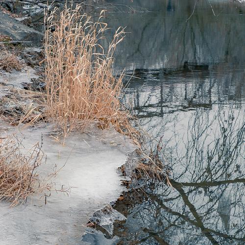 Photo #5145006