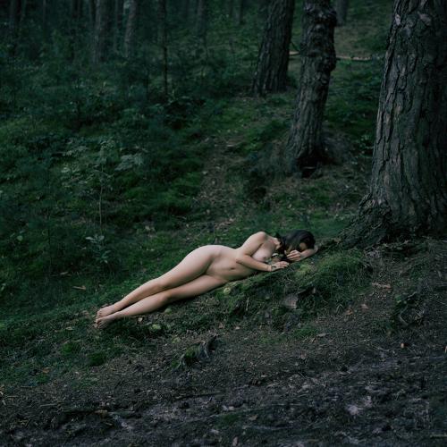 Photo #5146614
