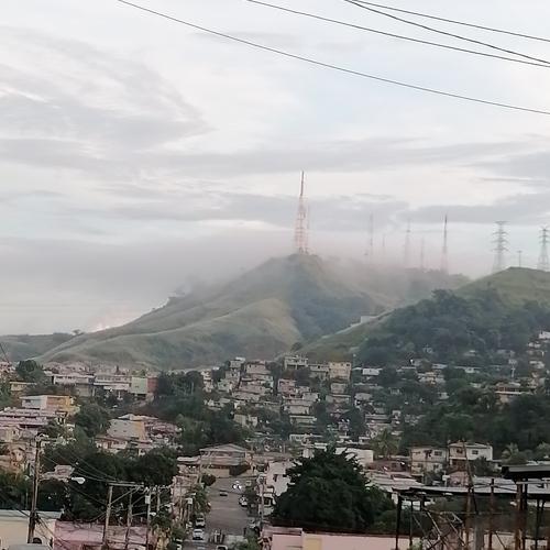 Photo #5147688