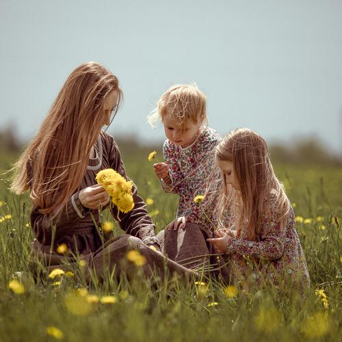 Photo #5147778