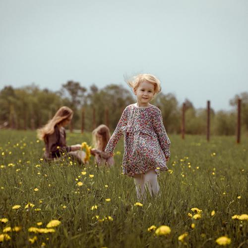 Photo #5147785