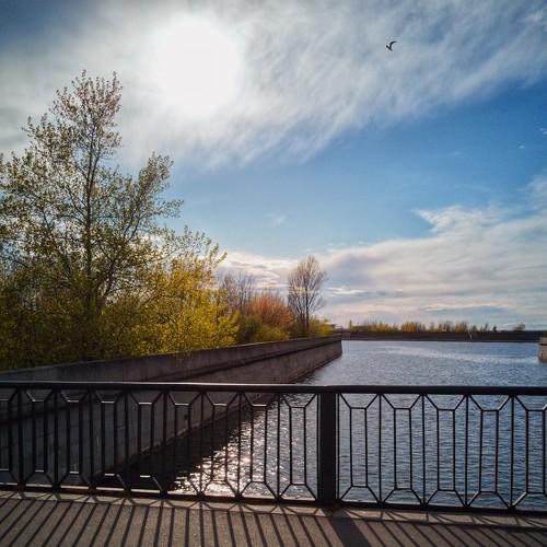 Photo #5148717