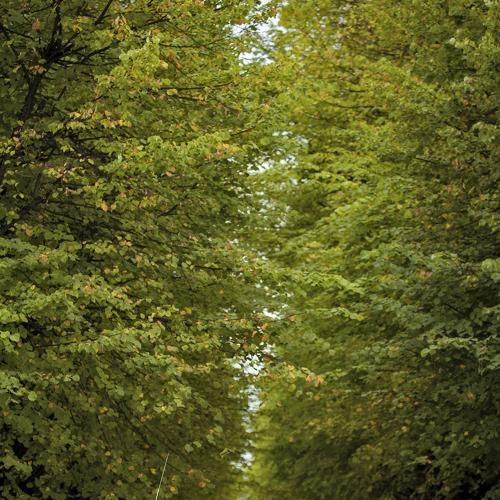 Фотография #5149395