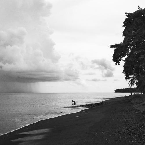 Photo #5149408