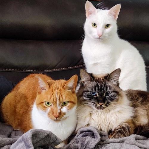 Photo #5149438