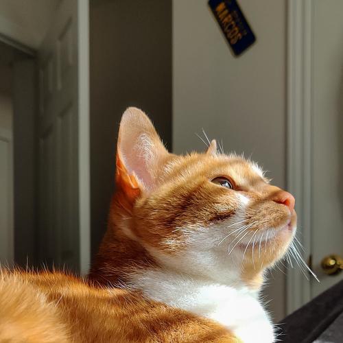 Photo #5149443