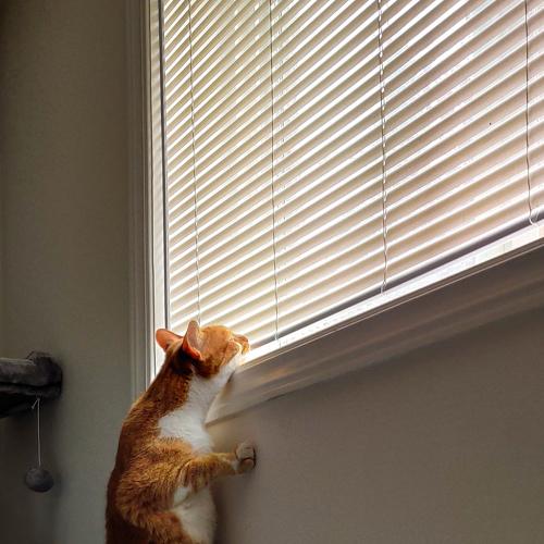 Photo #5149449