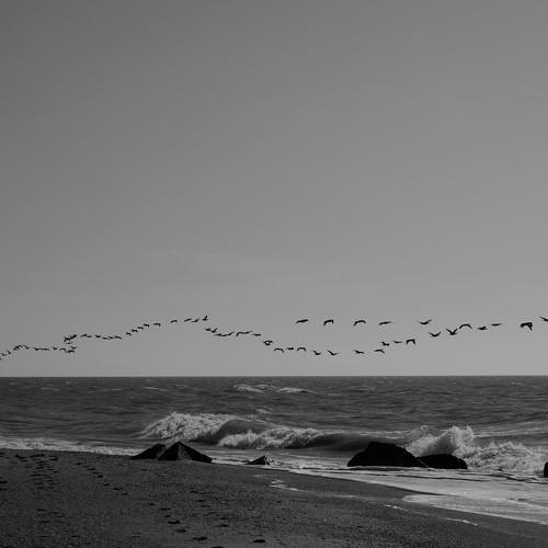 Photo #5150638