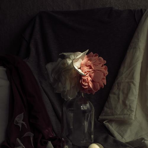 Photo #5150676