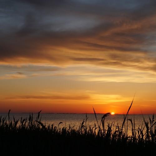 Photo #5150694