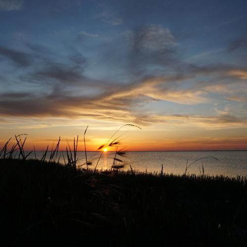 Photo #5150695