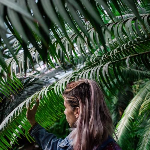 Photo #5151416
