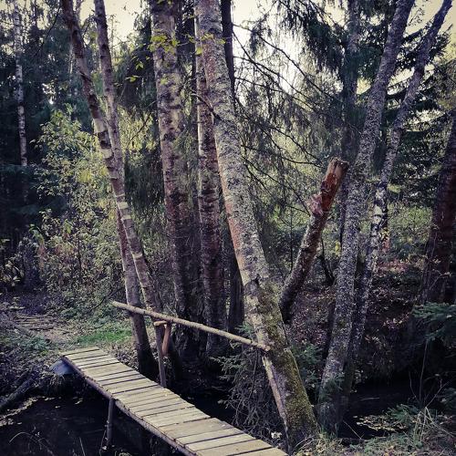 Photo #5151593