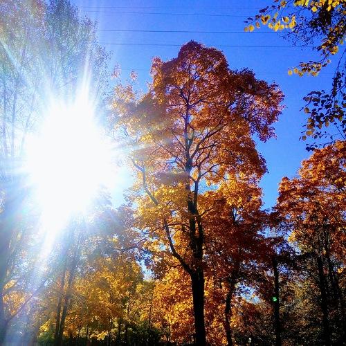 Photo #5151650