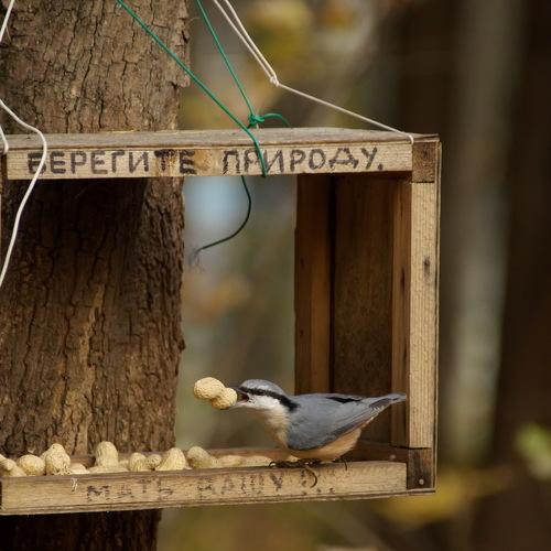 Photo #5151797