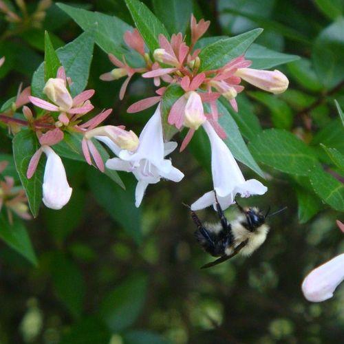 Photo #5151936