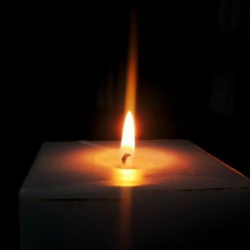 Photo #5152209